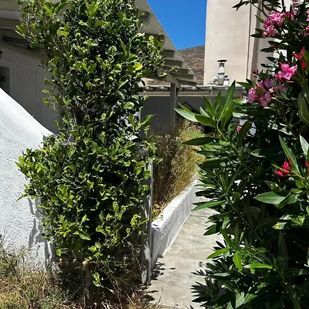 Lithari Traditional Agios Sostis (Tinos)